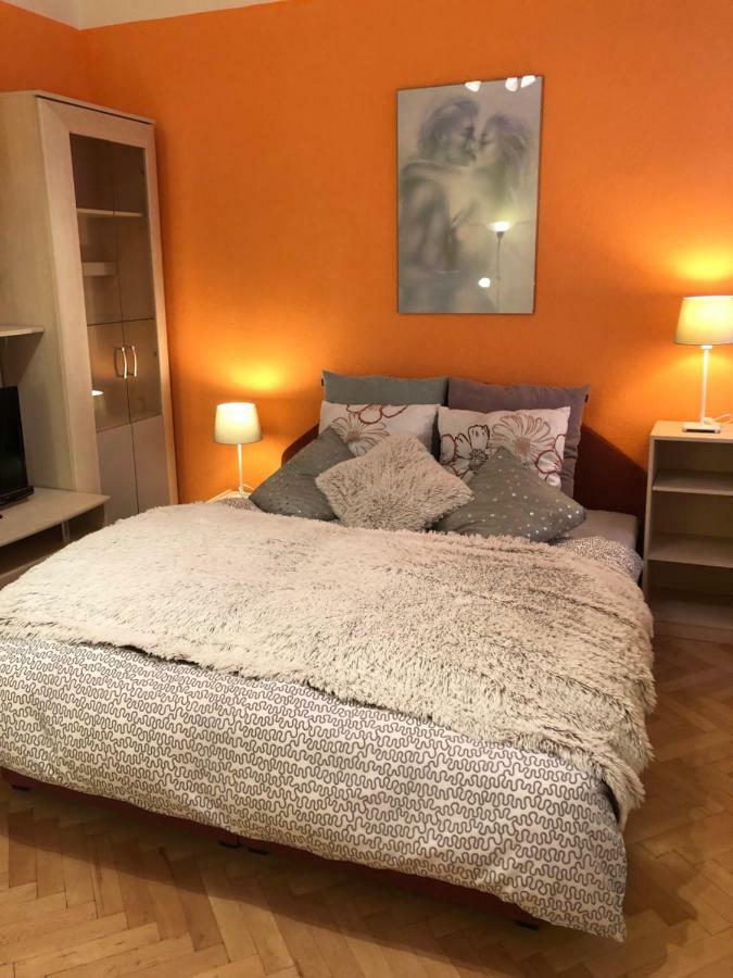 Apartman Orchidej U Vridla การ์โลวีวารี ภายนอก รูปภาพ